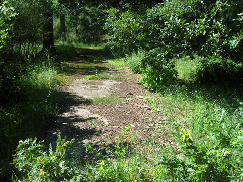 Foto 15